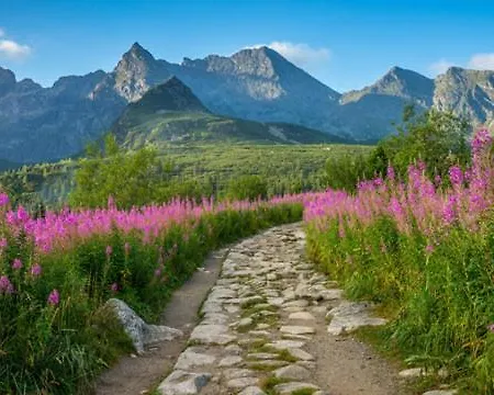 No 7 Z Sauna I Jacuzzi * Nowy Targ